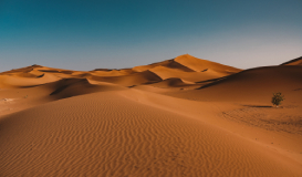 Jordania Fascinante, Desierto y Mar Muerto