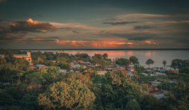 Colombia: Salsa, Café y Flores