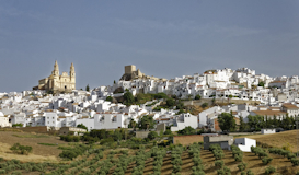 Cadiz y los pueblos blancos