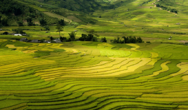 Vietnam magica con Sapa