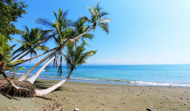 Naturaleza y Playas con Manuel Antonio