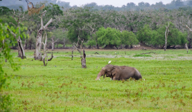 Sri Lanka 360° Summer