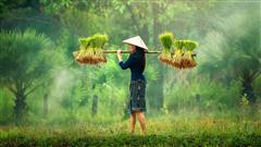 Impresiones de Vietnam y Angkor