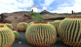 Lanzarote en Pareja