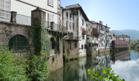Pirineo Navarro y Selva de Irati