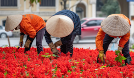 Vietnam