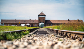 Polonia: Auschwitz, Minas de Sal y Castillo de Malbork