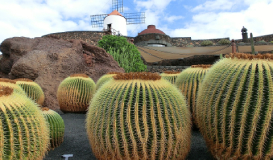 Lanzarote a tu aire