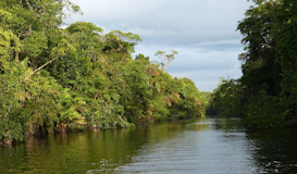 Naturaleza y Playas de Guanacaste Especial Nautalia