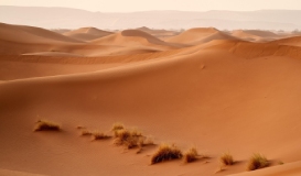 Marruecos Mágico