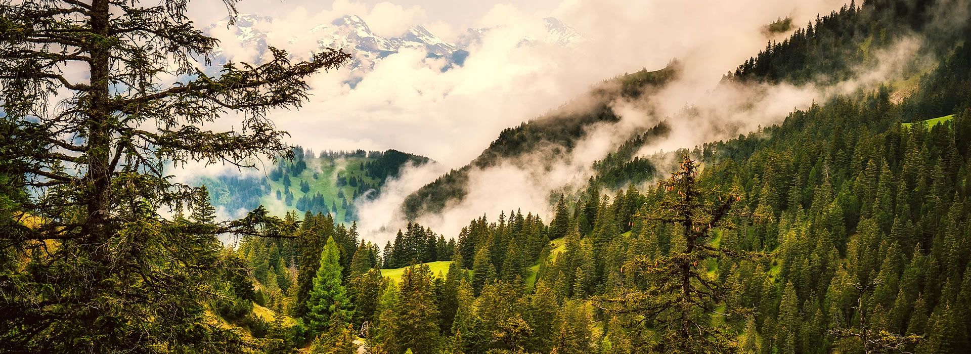 Liechtenstein